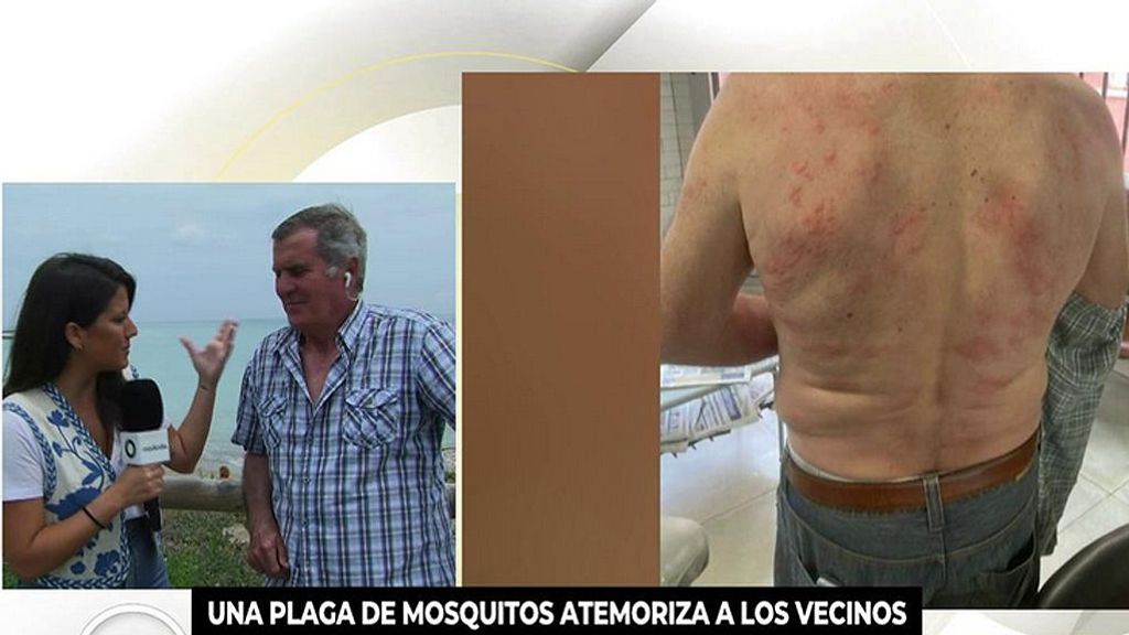 El equipo de ‘Ya es mediodía’ sufre el ataque de los mosquitos de Moncofa en Castellón: “Hemos pasado un mal rato”