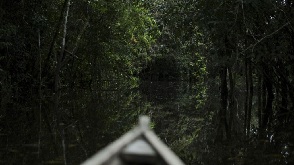 El padre de los niños perdidos en la selva de Colombia y sus buscadores, convencidos: "Estamos cerrando el cerco"