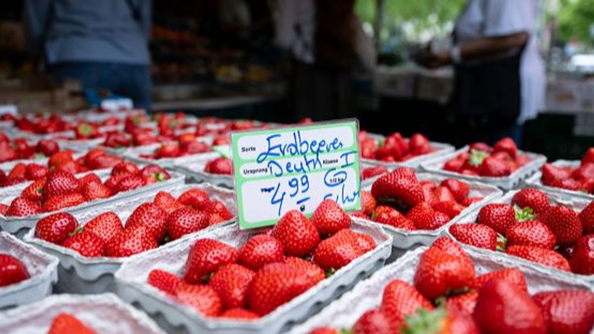 Fresas en el mercado de Munich, Alemania