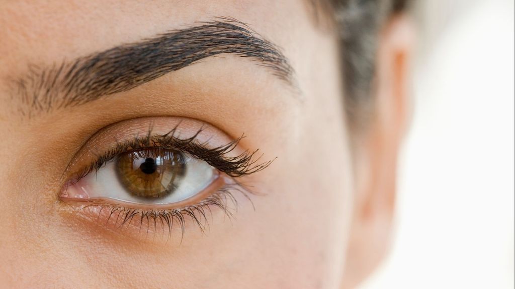 La apariencia de las cejas humanas está en los genes, según un estudio