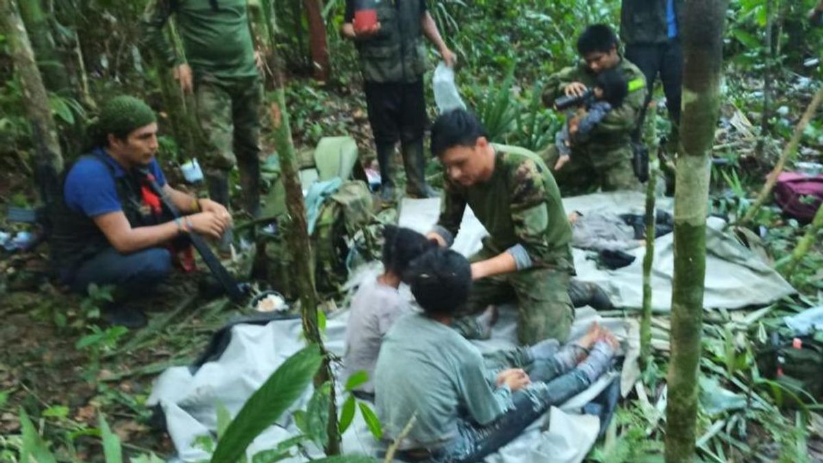 Los niños desaparecidos en la selva en Colombia, con vida