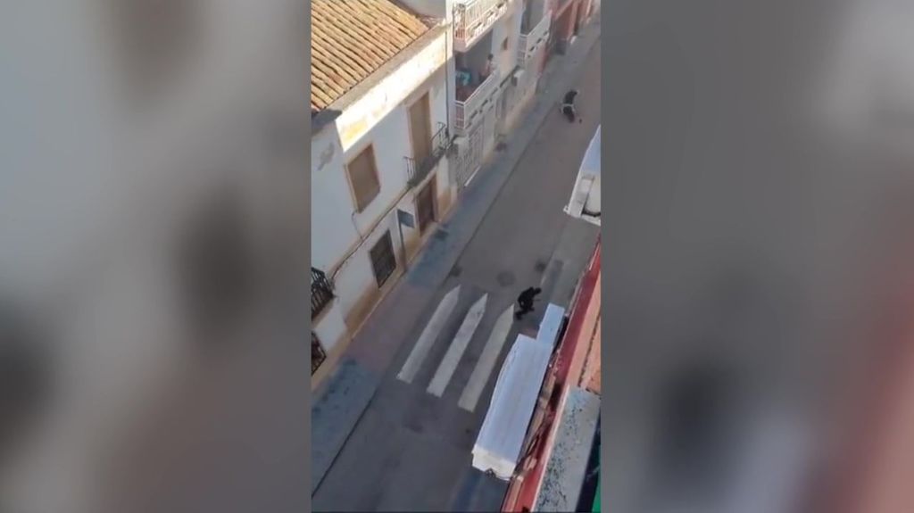 La Policía investiga si fue un disparo fortuito del agente agredido en Andújar el que mató a su compañero