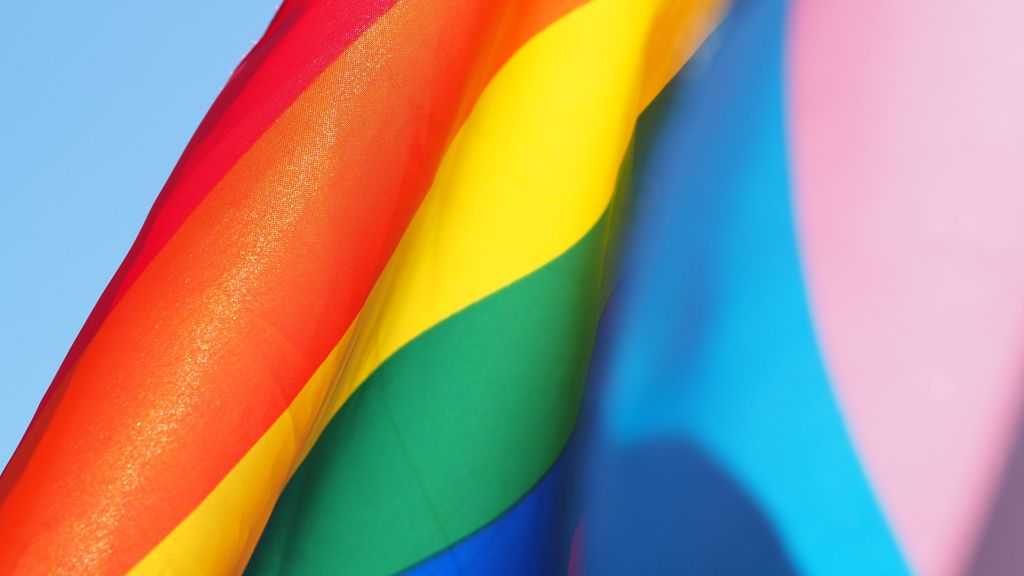 Cuáles son las banderas LGBTIQA+ y cuál es su significado