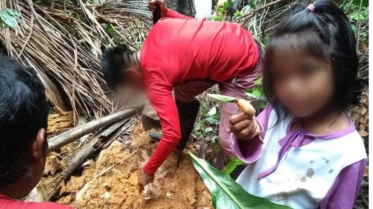 Los cuatro niños perdidos durante 40 días en una selva de Colombia sobrevivieron gracias a los conocimientos adquiridos de sus padre indígenas