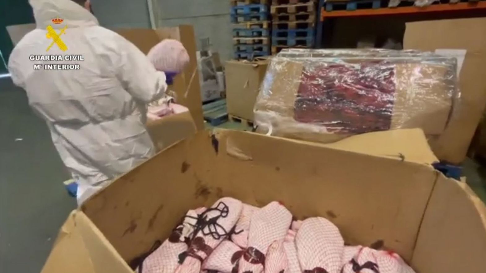 Incautadas en Sevilla más de 50 toneladas de falsos jamones pata negra