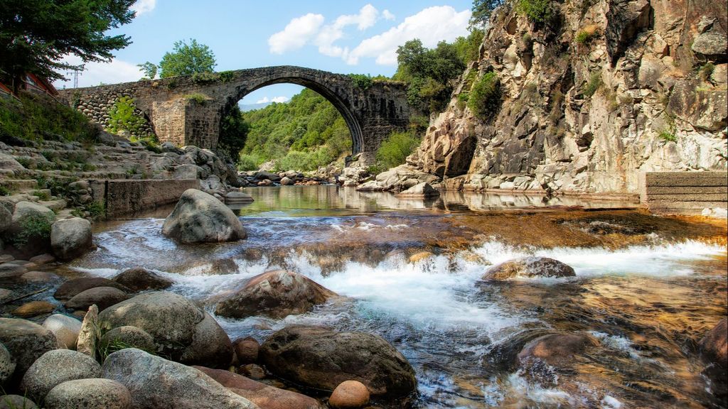 Detenido un hombre tras encontrar a su perro muerto por un golpe de calor en Cáceres