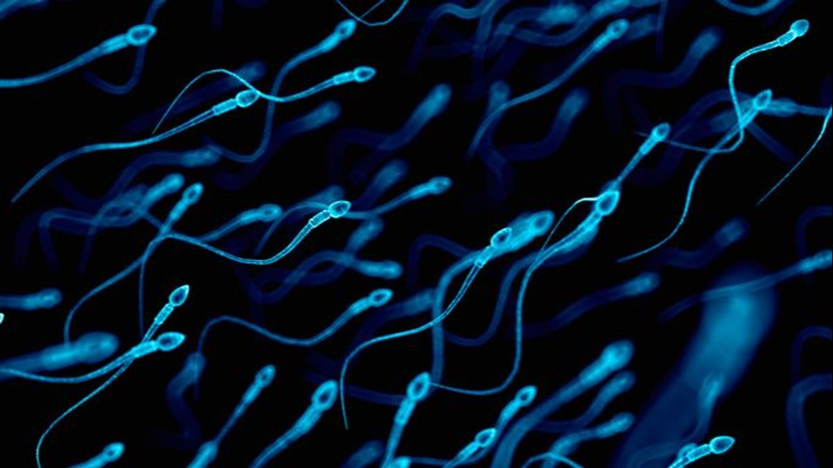Los hombres que han tenido COVID sufren una disminución en la cantidad de los espermatozoides a largo plazo
