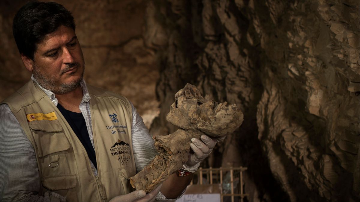 Arqueólogos: los Indiana Jones de la vida real.
