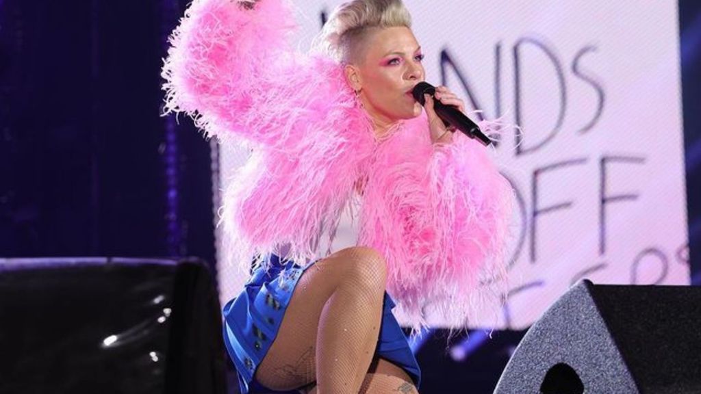 La cantante Pink