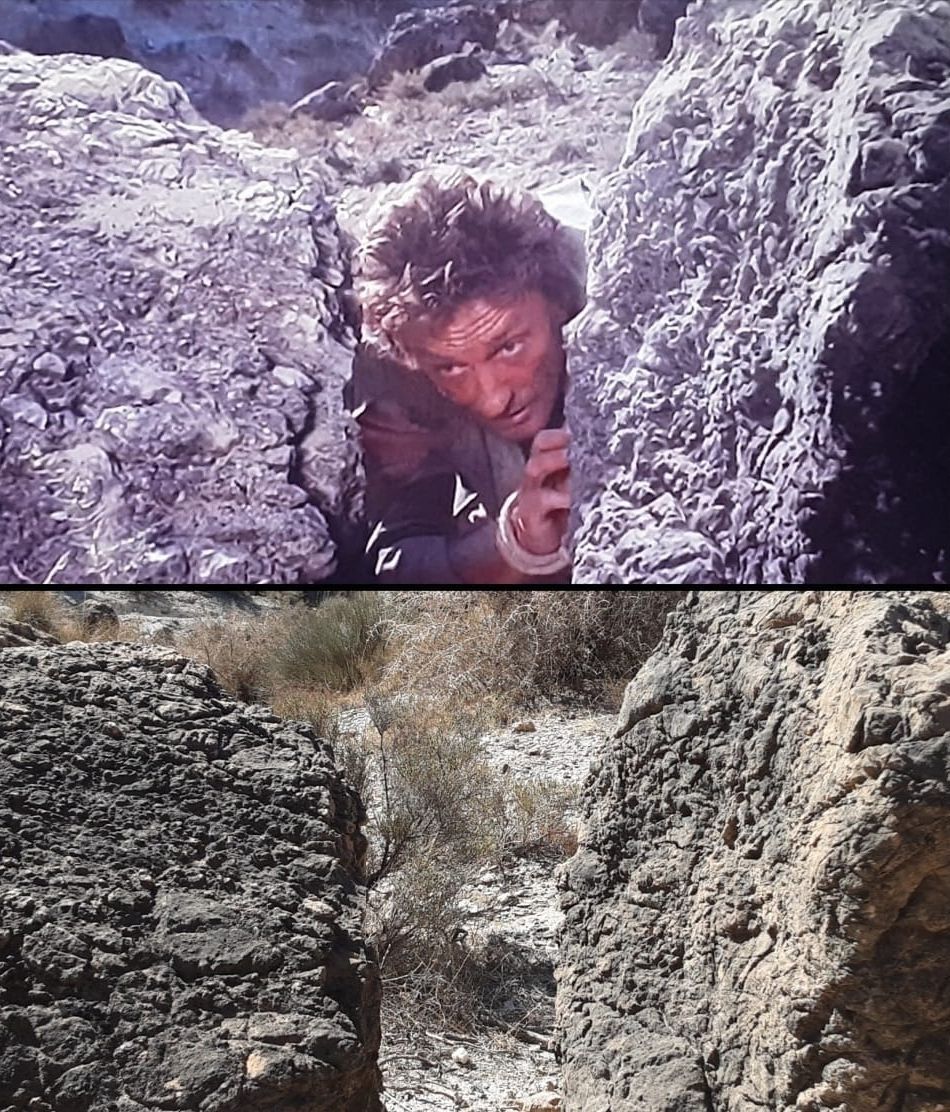 342966459 1369559347224566 3445142950633520537 n