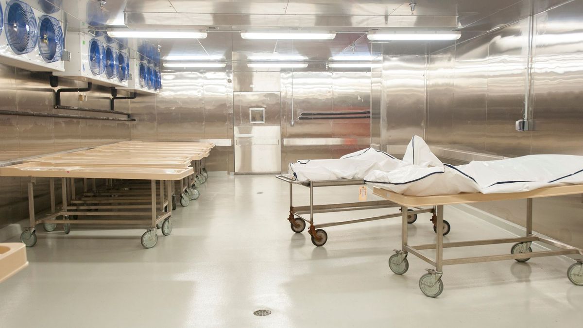 Cuerpos en una morgue