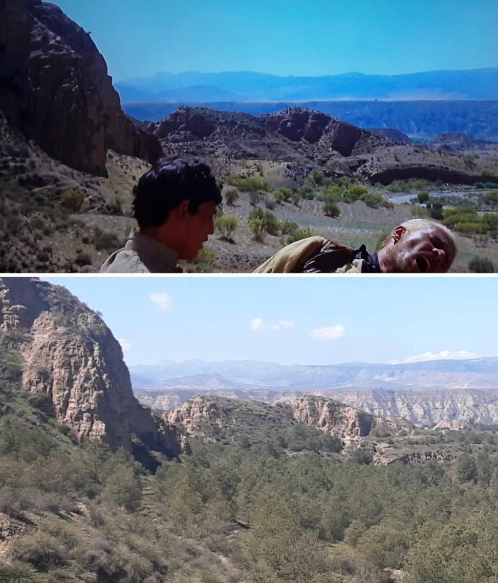 WhatsApp Image 2023 06 28 at 14.23.01