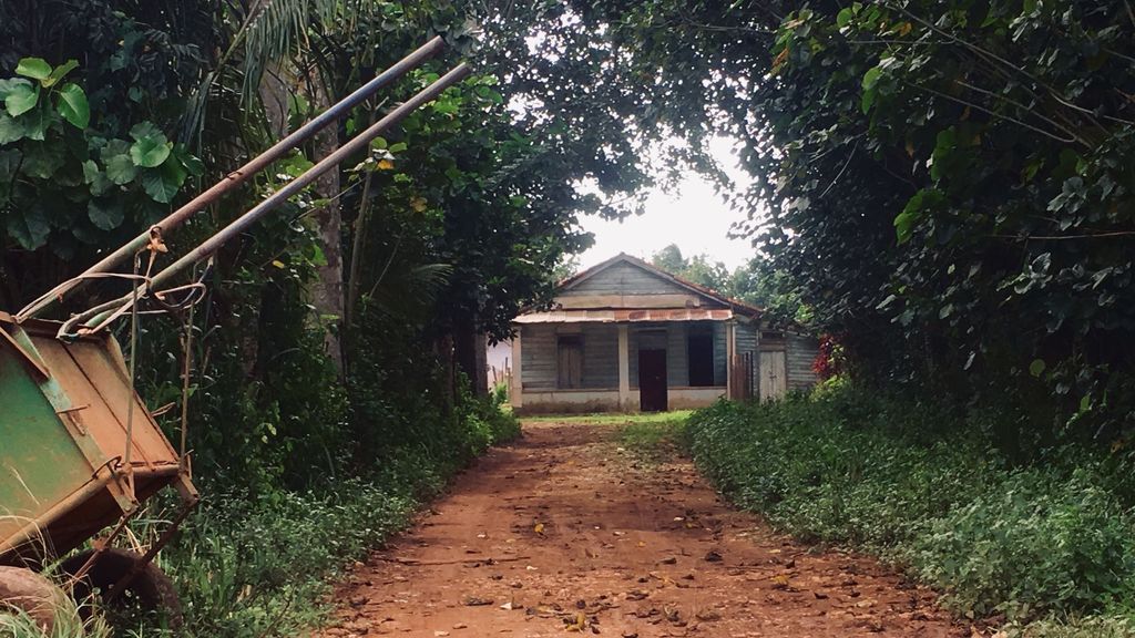 Paisaje del pueblo de Alquízar, en las afueras de La Habana, donde pasó la infancia Crespo