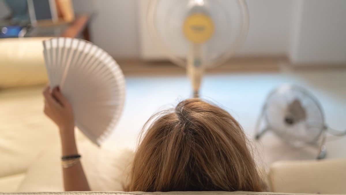 Los ventiladores son tus amigos, tus amigos más cercanos en verano.