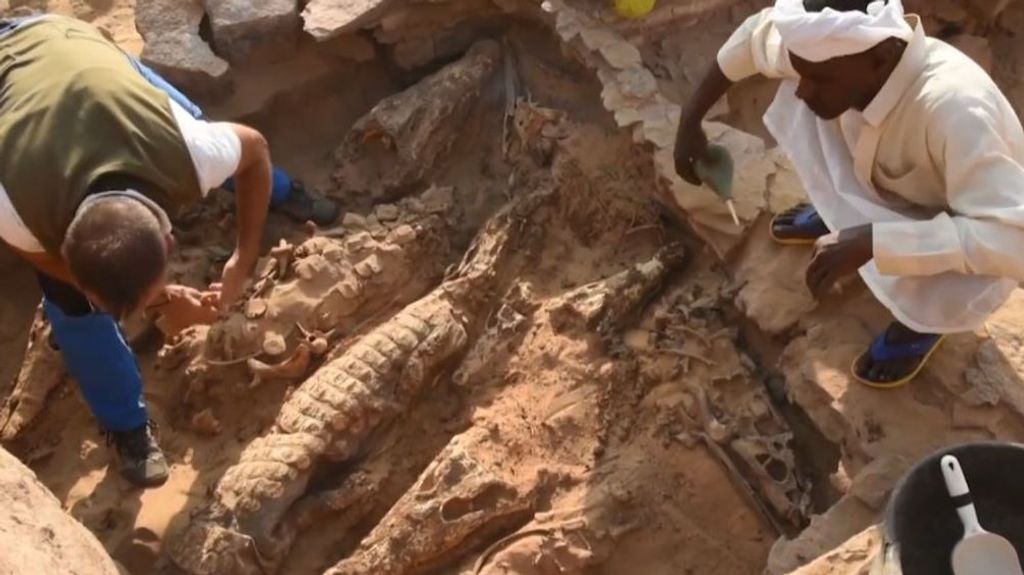 Harrison Ford dice adiós a Indiana Jones: los arqueólogos explican cómo es su vida