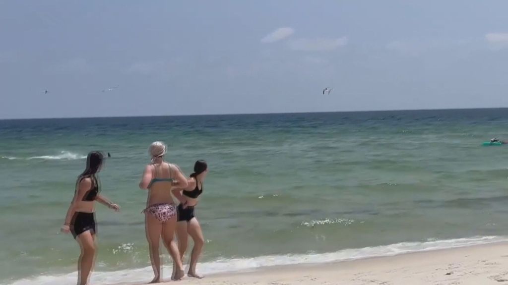 Pánico en una playa de Florida por un tiburón en plena orilla