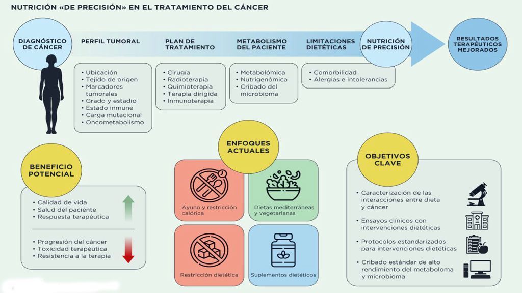 Nutrición de precisión en el t5ratamiento del cancer CNIO