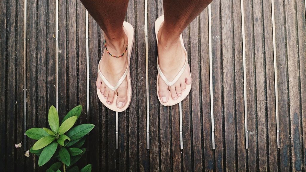 pexels stacey koenitz r 4462656