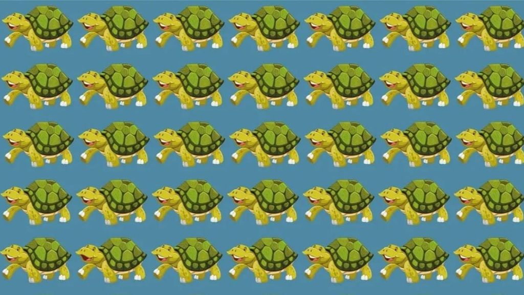 reto viral tortugas