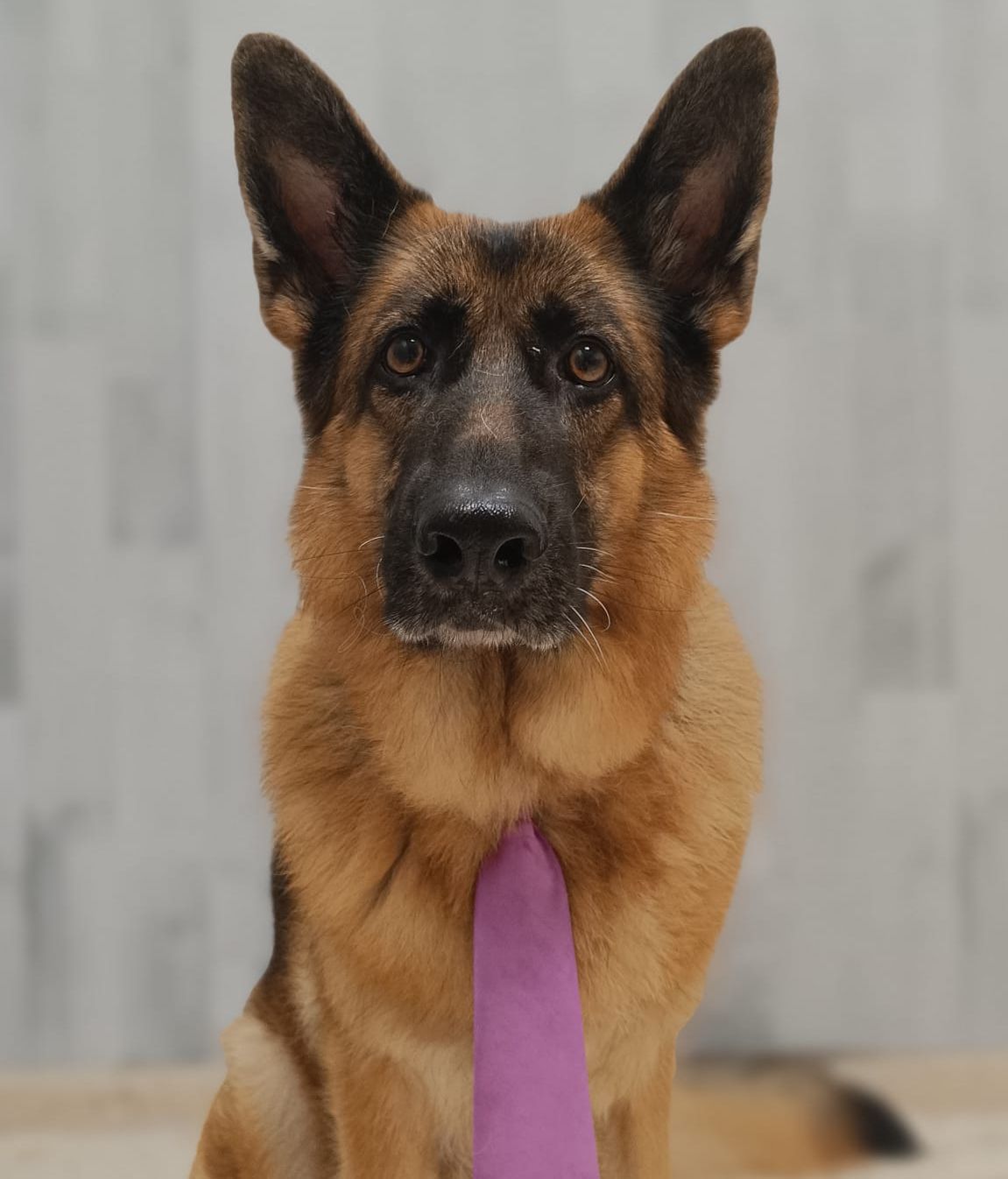 WhatsApp Image 2023 07 01 at 21.39.11