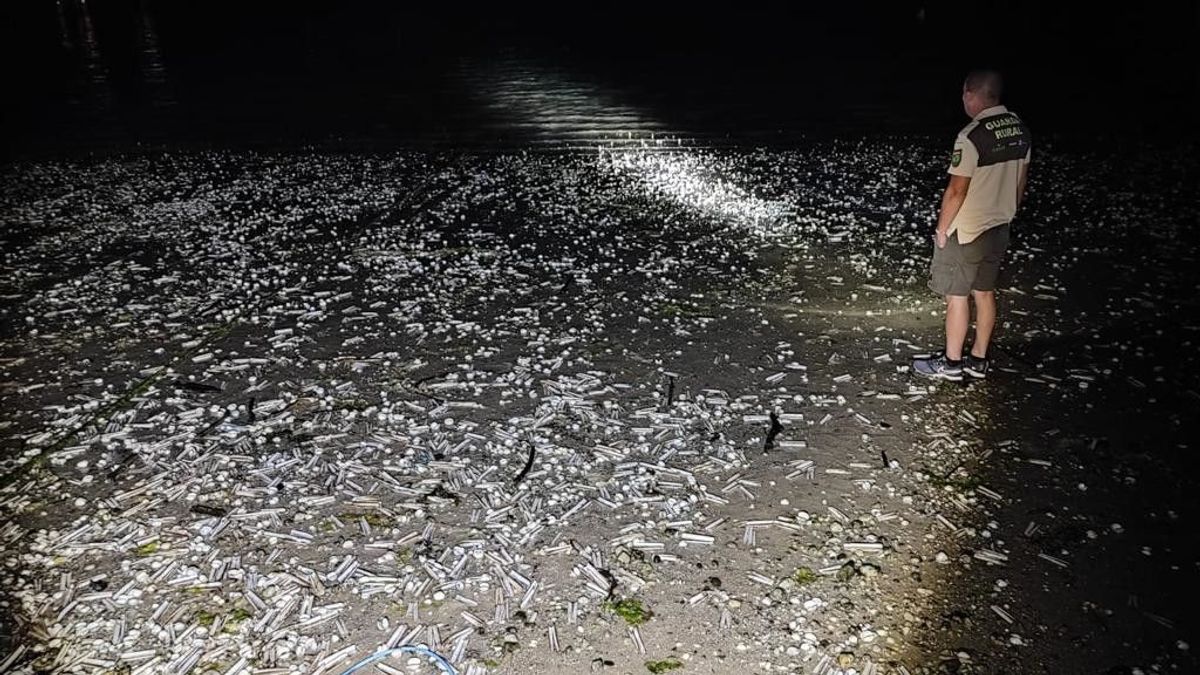 Las conchas en la playa de A Canteira.