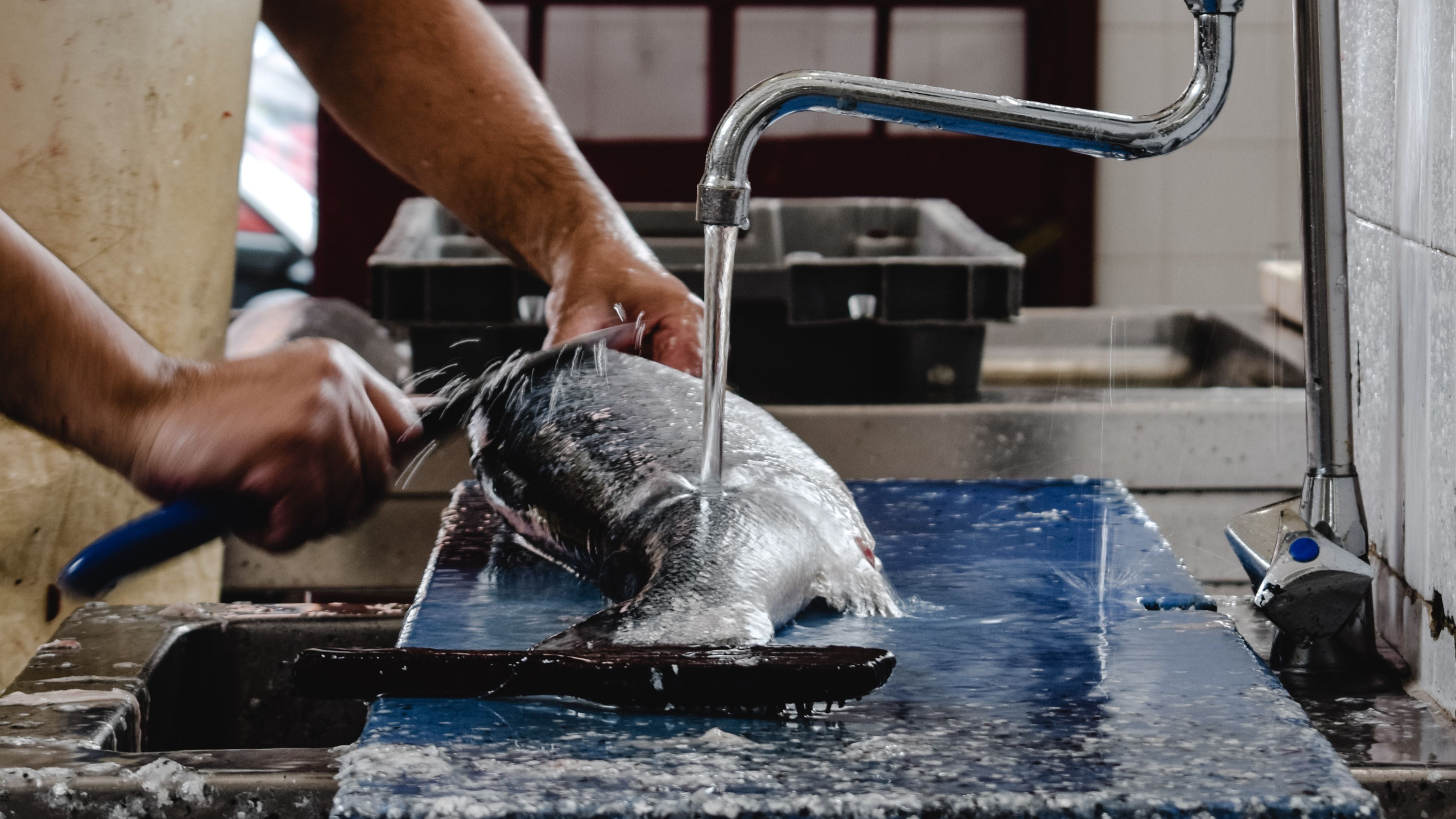 Limpiar el pescado es muy importante