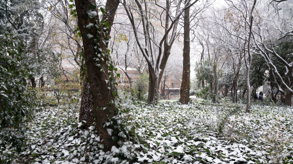 Sudáfrica, cubierta de blanco tras una inusual nevada en varios puntos del país