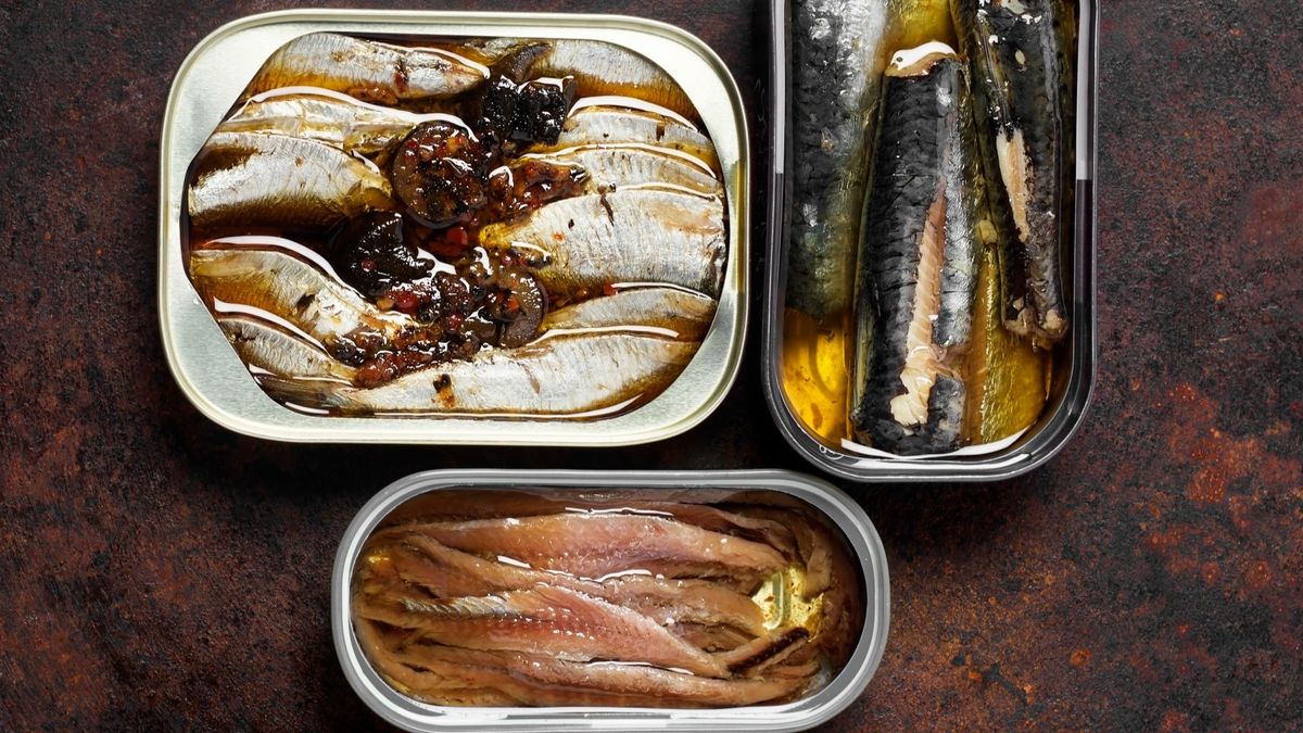 Harvard come sardinas en lata