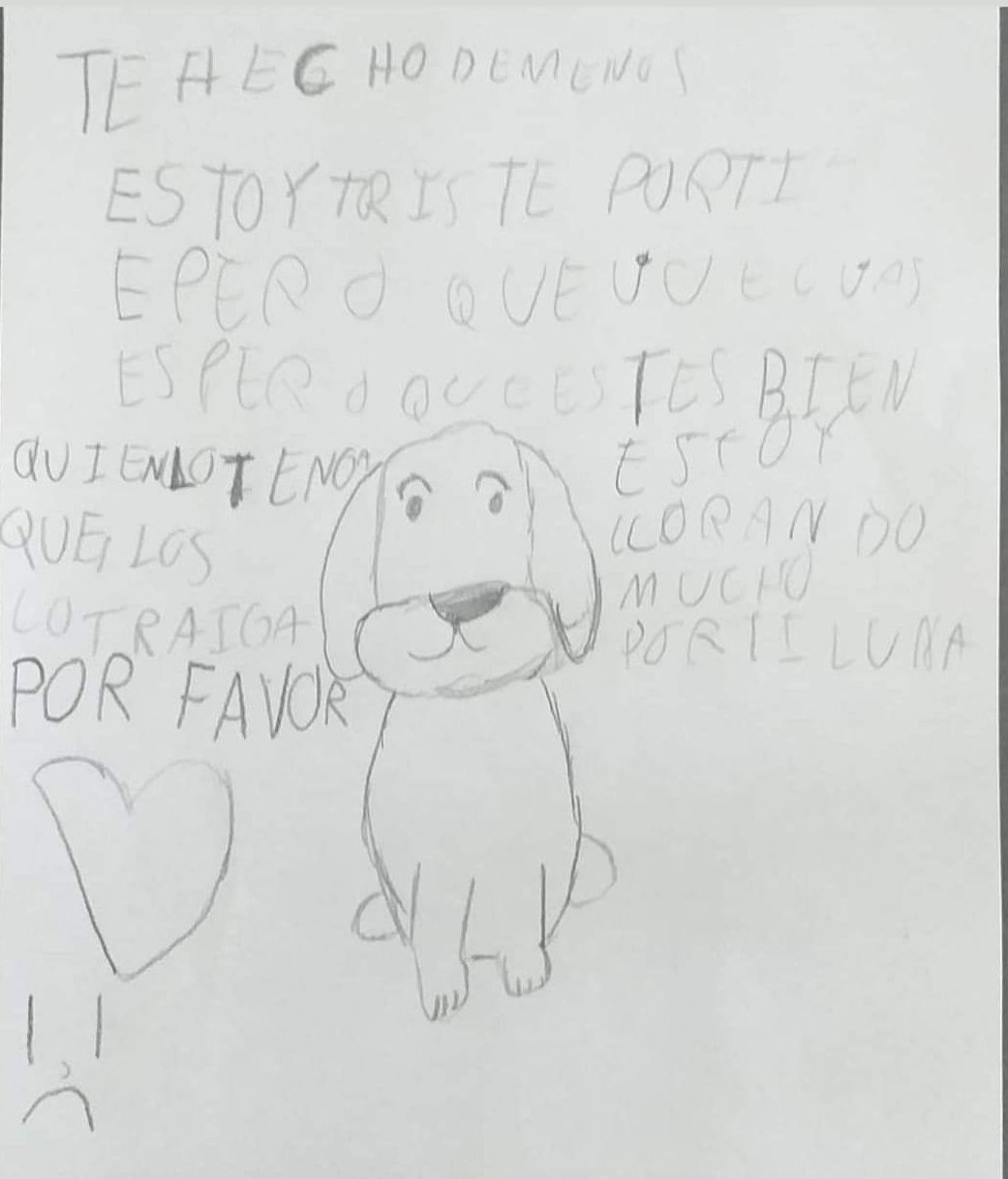 358097382 6121100751332748 8654427162537496972 n