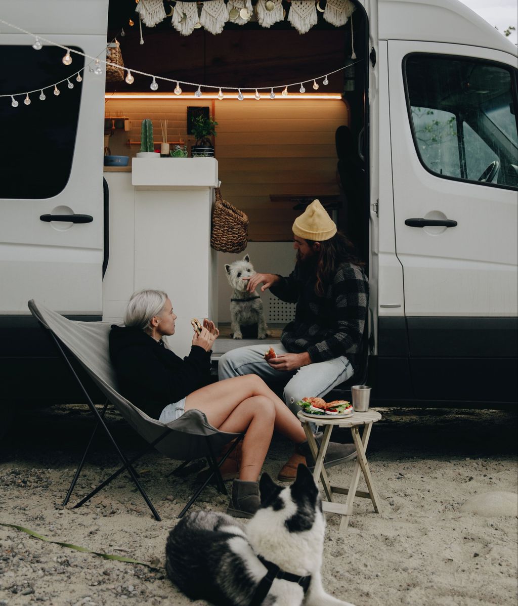 Disfruta el camping con tu mascota