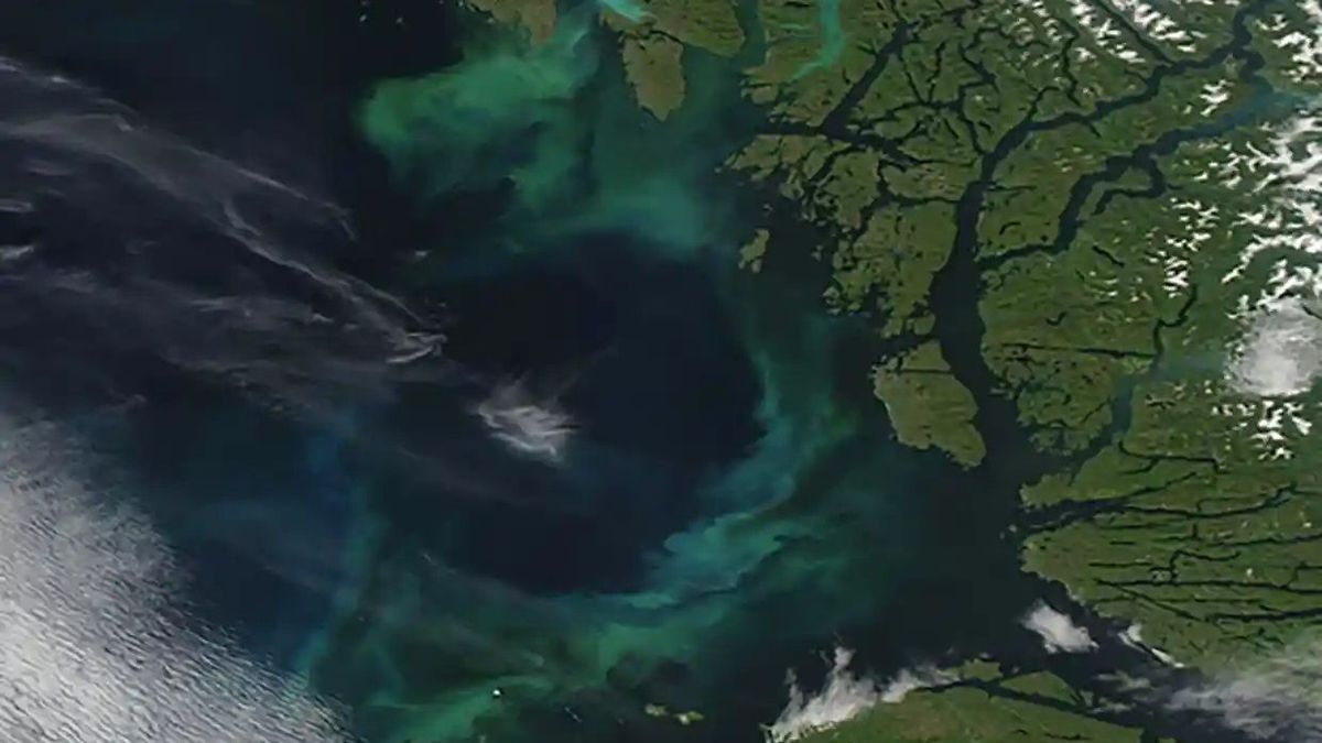 Los océanos cambian de color por el cambio climático