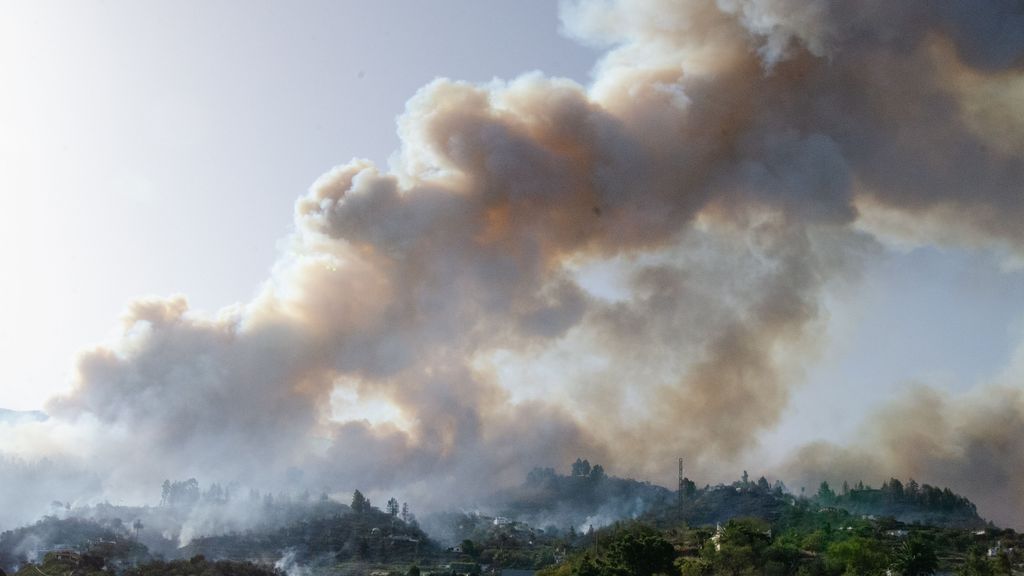 El incendio de Puntagorda, en La Palma, afecta ya a 140 hectáreas: hay medio millón de desalojados