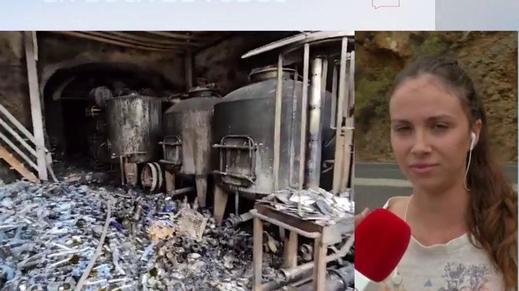 María Ballesteros, propietaria de vinos Tendal, afectada por el incendio de La Palma