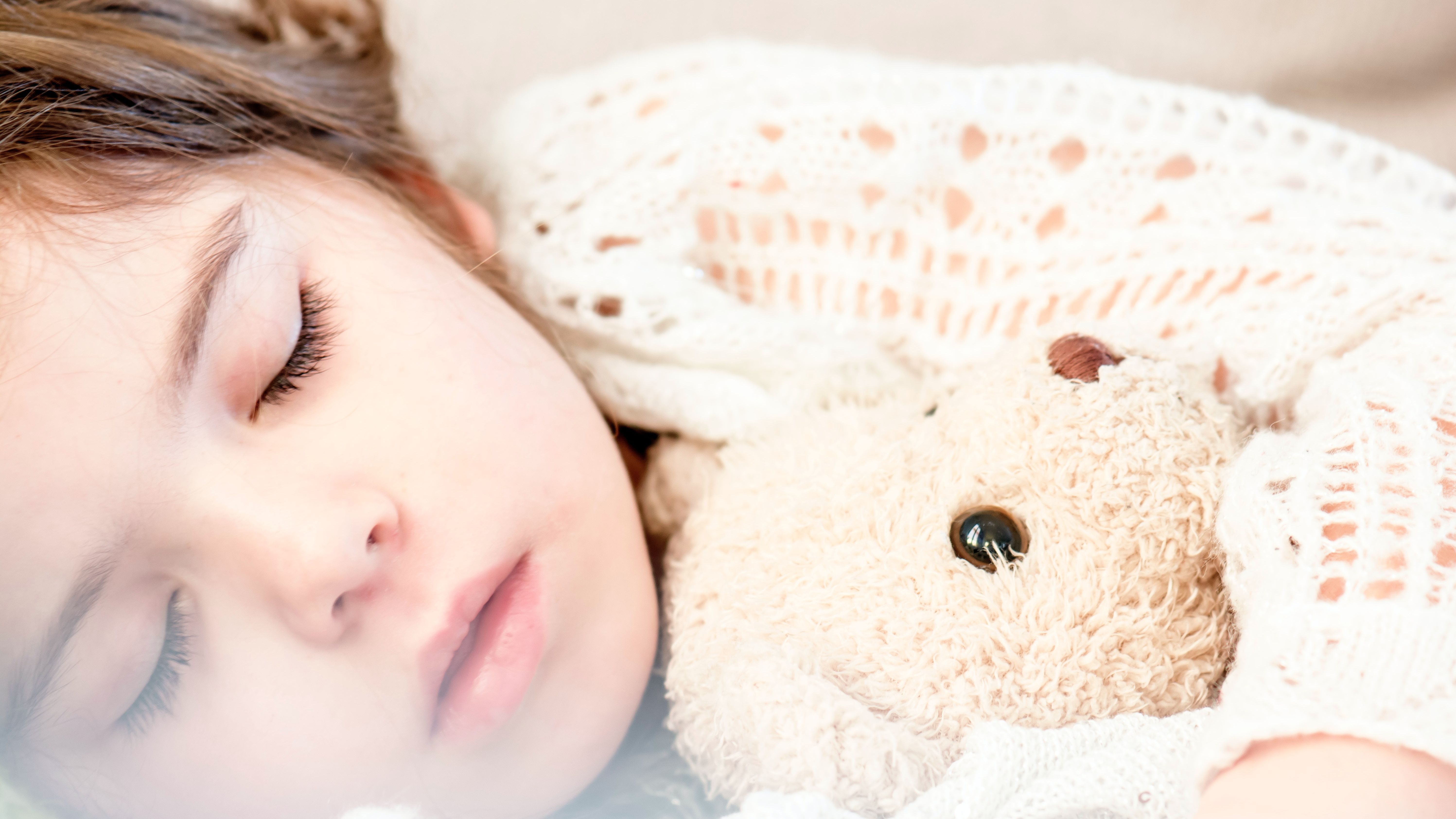 Puede tener cerca su peluche favorito. FUENTE: Pexels