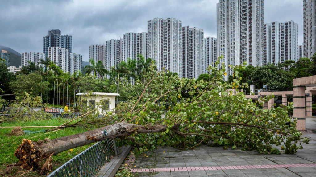 El tifón Talim causa estragos en su devastador paso por China: más de 230.000 personas evacuadas