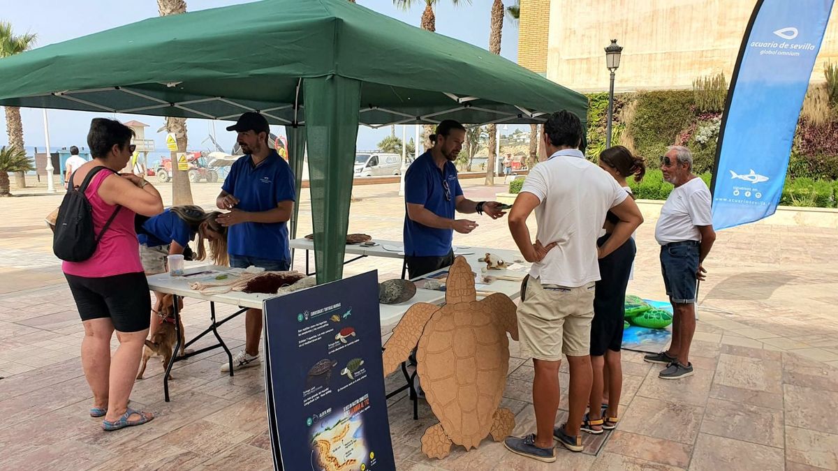 Campaña Salvemos las tortugas en Rincón de la Victoria (Málaga)