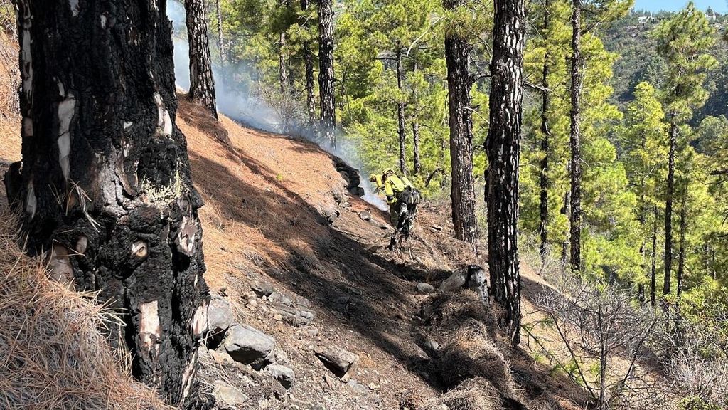 Incendio La Palma