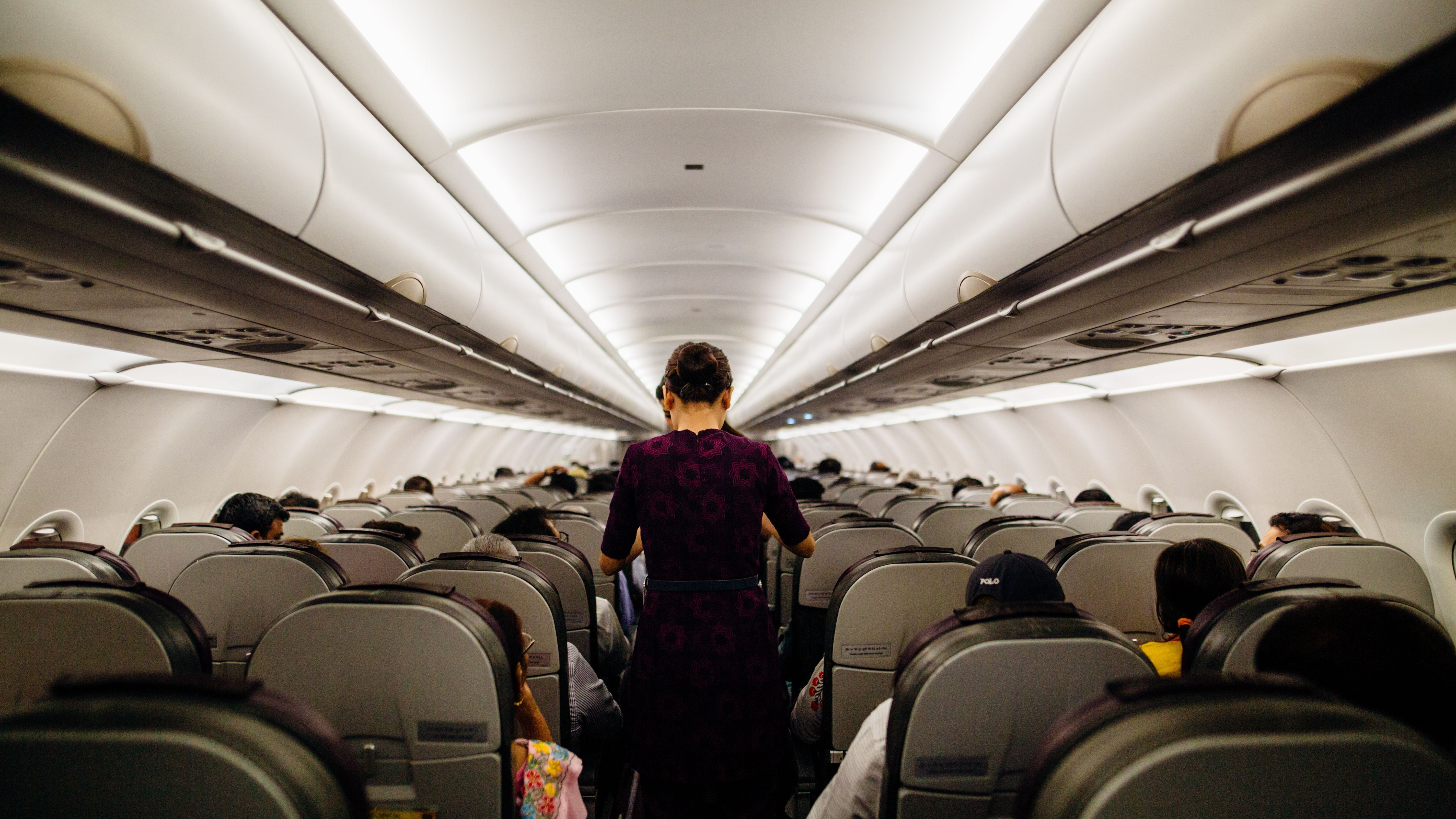 pexels kelly 3119978