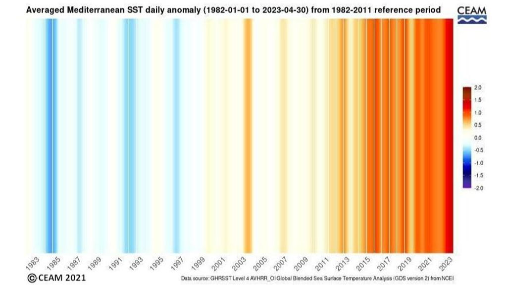 Anomalía de la temperatura media diaria Mediterráneo