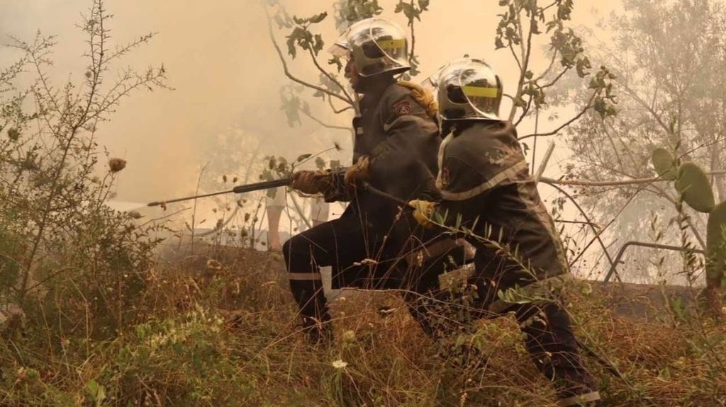 Bomberos en un incendio en el municipio de Jijel, en el noreste de Argelia