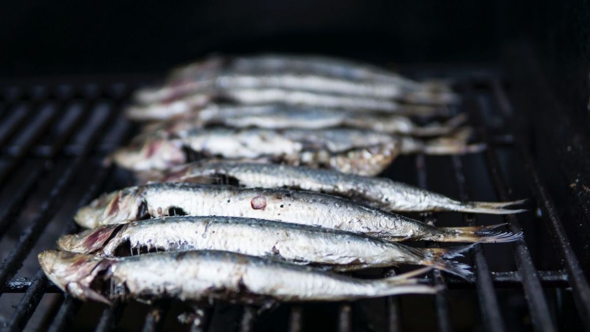 Hay que comer pescado azul al menos dos veces a la semana