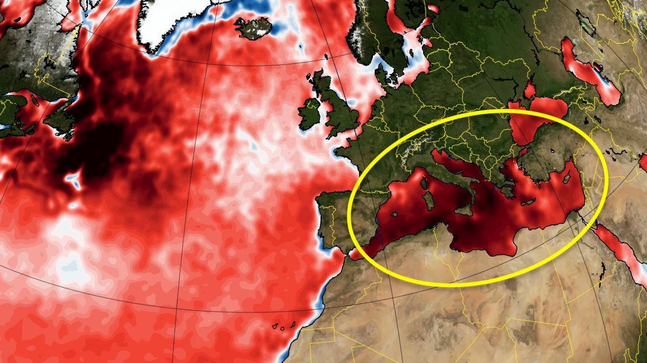 The waters of the Mediterranean break their historic temperature file, with 28.4 levels