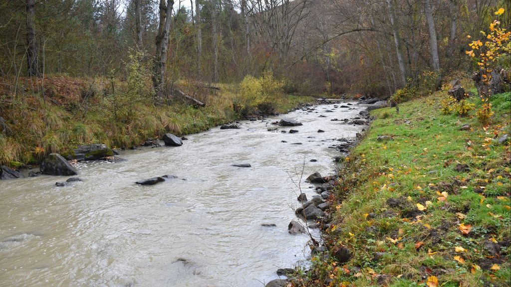 Río Cidacos