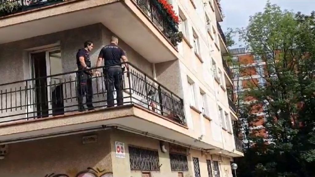 Un buitre leonado queda atrapado en un balcón en San Sebastián