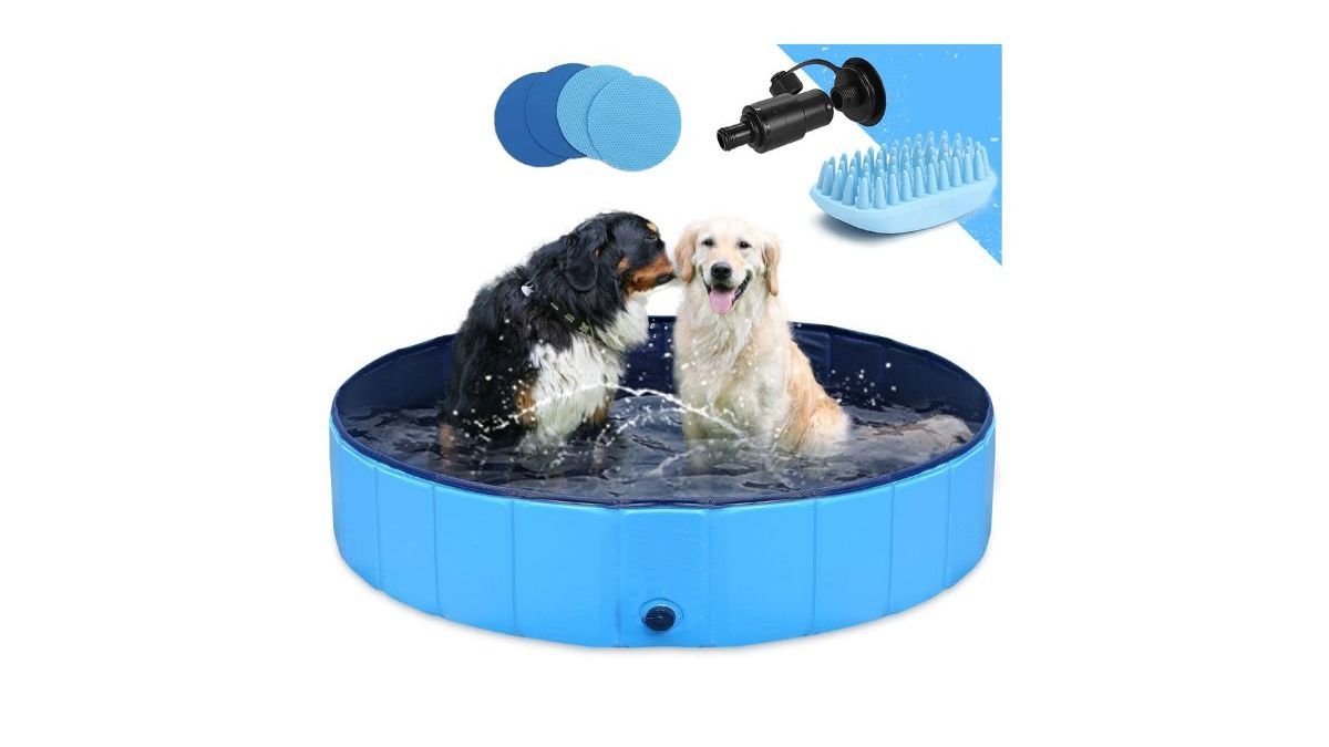 Piscina para perros GoStock