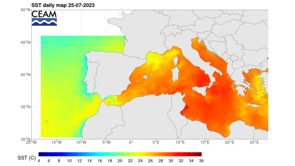 Temperatura de las aguas en las costas españolas