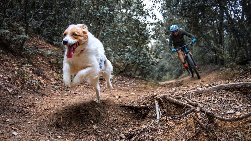 Mantenerse en forma con la bici