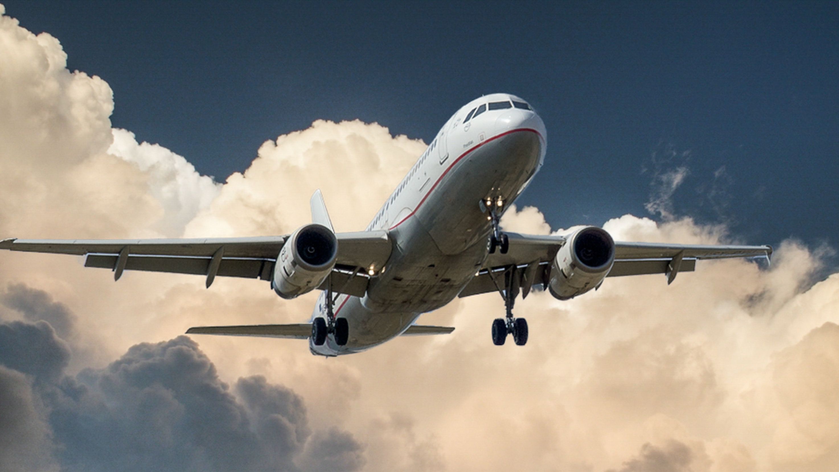 Puedes viajar con tu bebé. FUENTE: Pexels