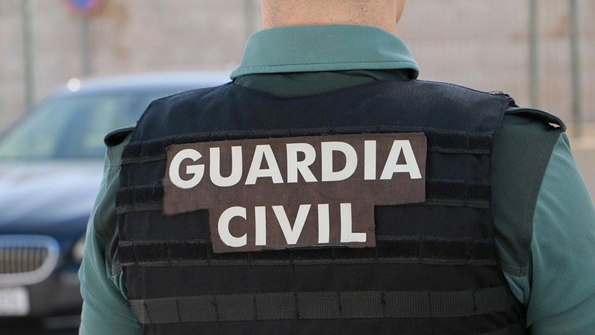 Un agente de la Guardia Civil, de espalda. Archivo.