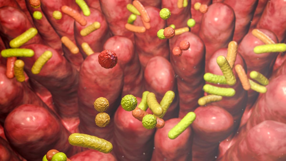 Desterrando mitos sobre el microbioma humano: la microbiota está de moda, pero no lo explica todo